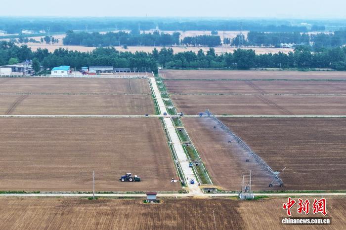 深度解读赛事：洞察赛场内外，把握制胜关键。 - 米兰体育